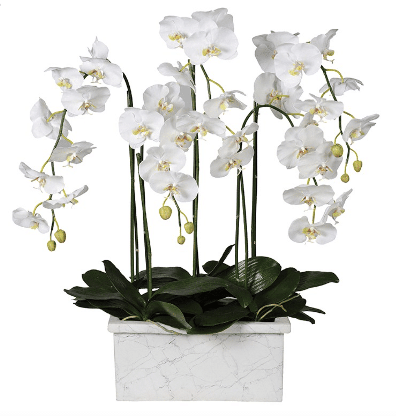 White Orchid Plant in Marble Look Planter
