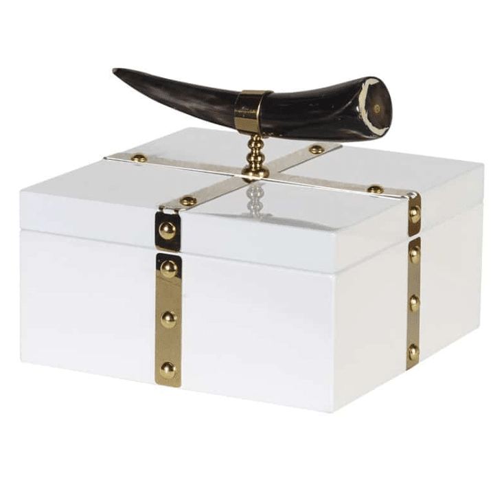 Horn Handled White Box With Gold Trim