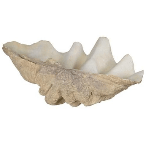 large resin clam shell