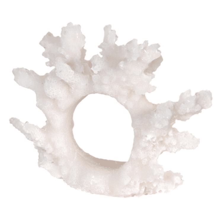 Cream Coral Napkin Holder – Set of 6