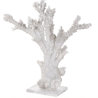 White Coral Sculpture On stand