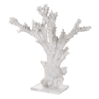 White Coral Sculpture On stand