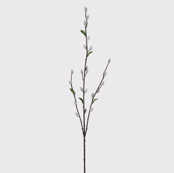 grey pussy willow stem