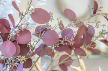 Aubergine Berry Eucalyptus Stem