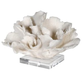 Lalosa White decorative Coral