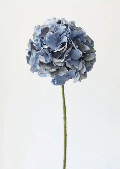 blue hydrangea stem