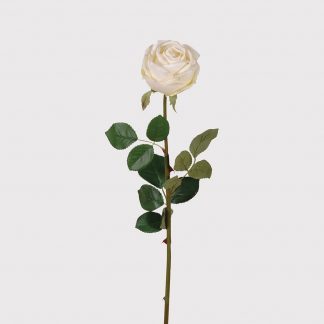 Elegant Ivory Rose Stem