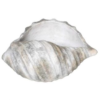 Oyster Ceramic Shell Decoration