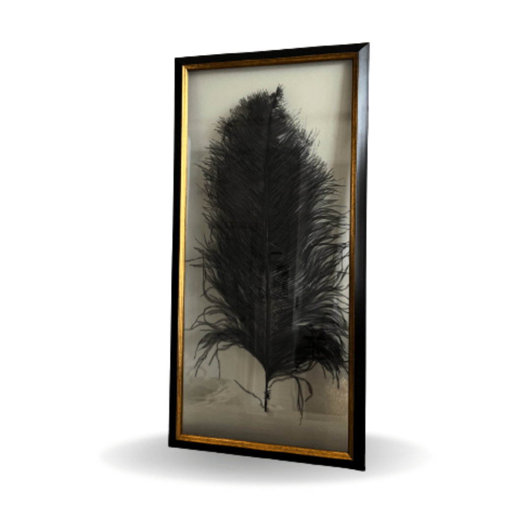 black feather wall art