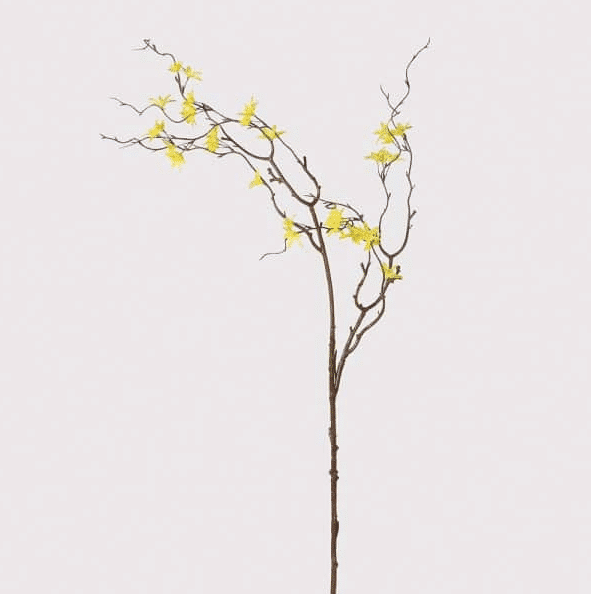 yellow stem