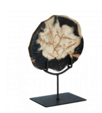 Small Petrified Wood Sculpture - Image 4