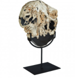 Large Petrified Wood Sculpture - Image 2