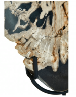Large Petrified Wood Sculpture - Image 3