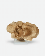 Lossa Coral Decoration