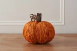 Carrot Pumpkin