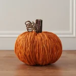 Carrot Pumpkin