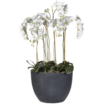 Luxury Artificial Plant UK – White Orchid in Grey Pot