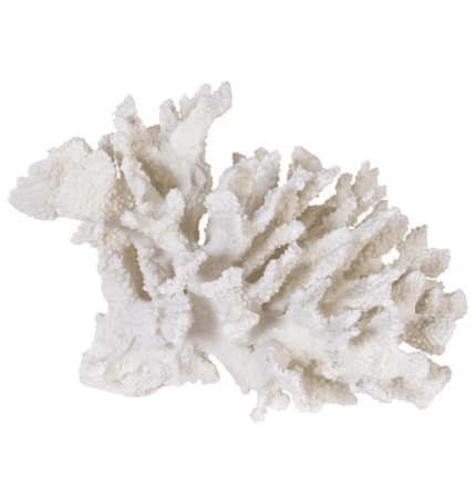 standing white coral sculpture