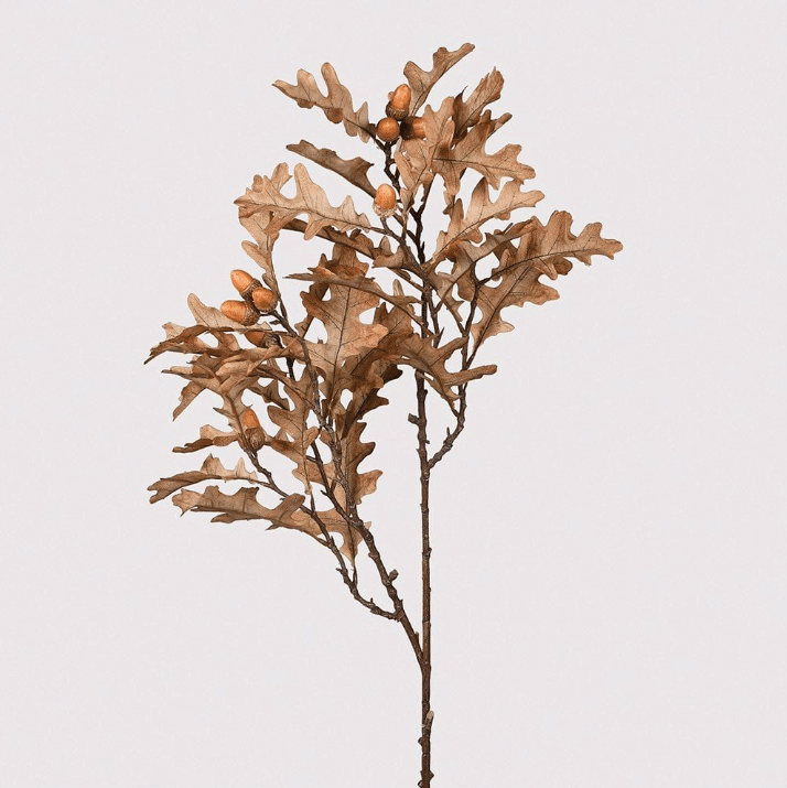 Oak Leaves with Acorns Stem