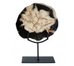 Small Petrified Wood Sculpture