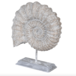 ammonite shell ornament on stand side view
