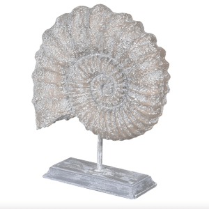 ammonite shell ornament on stand side view