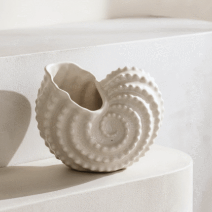 decorative white sea shell ornament