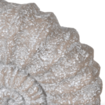 detailed close shot of the grey faux ammonite fossil sculpture
