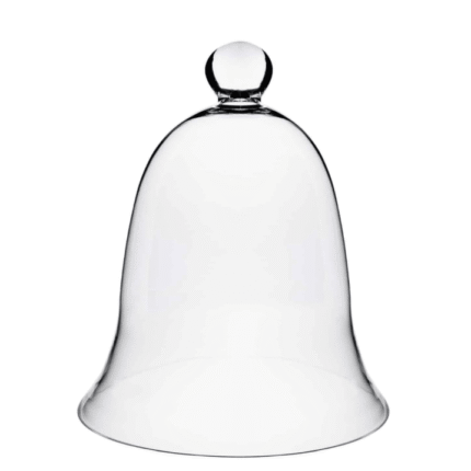 glass cloche display dome bell jar