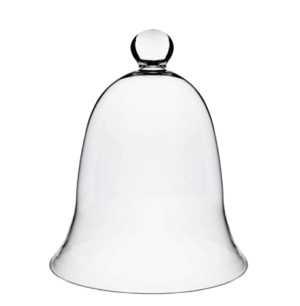 glass cloche display dome bell jar