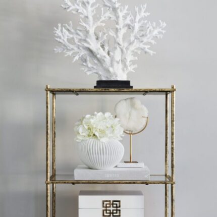 white faux coral ornament on shelve