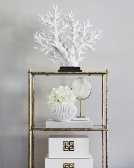 white faux coral ornament on shelve